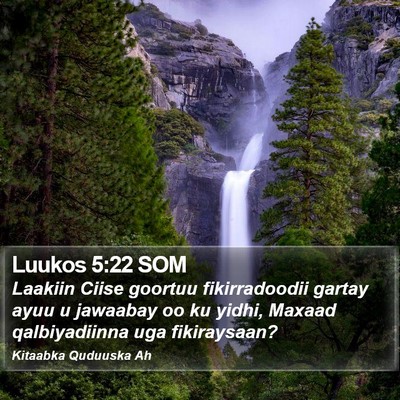 Luukos 5:22 SOM Bible Verse Image