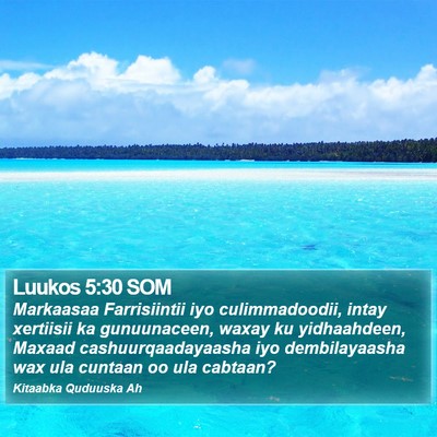 Luukos 5:30 SOM Bible Verse Image