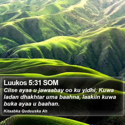 Luukos 5:31 SOM Bible Verse Image