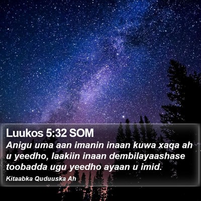 Luukos 5:32 SOM Bible Verse Image