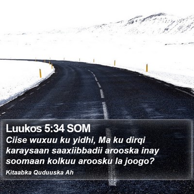 Luukos 5:34 SOM Bible Verse Image