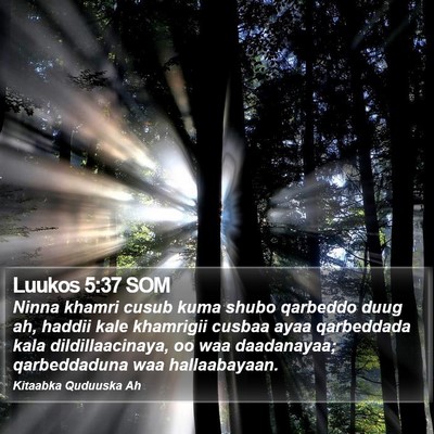 Luukos 5:37 SOM Bible Verse Image