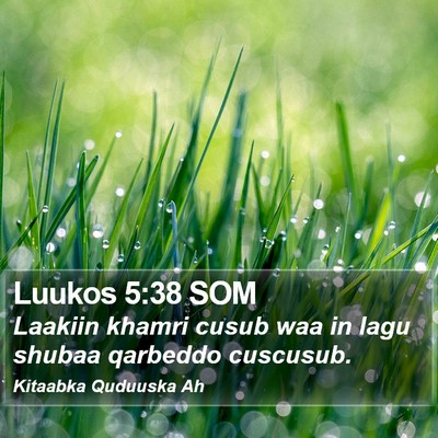Luukos 5:38 SOM Bible Verse Image