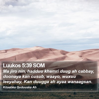 Luukos 5:39 SOM Bible Verse Image