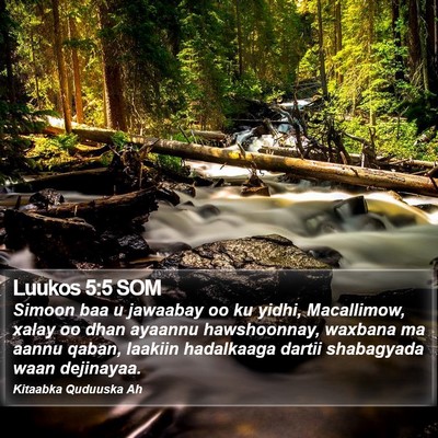 Luukos 5:5 SOM Bible Verse Image