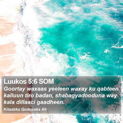 Luukos 5:6 SOM Bible Verse Image