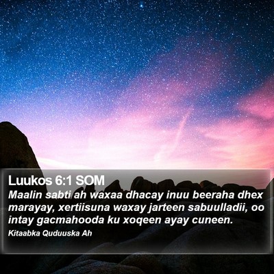 Luukos 6:1 SOM Bible Verse Image