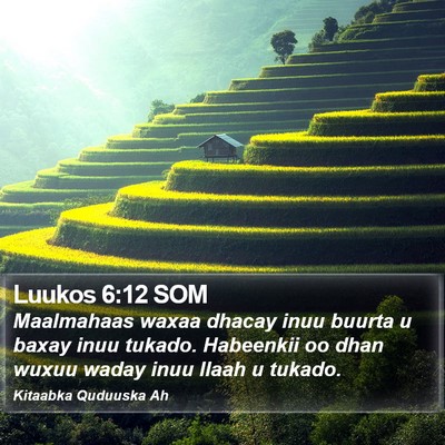 Luukos 6:12 SOM Bible Verse Image