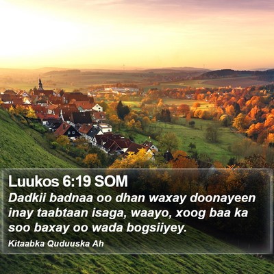 Luukos 6:19 SOM Bible Verse Image