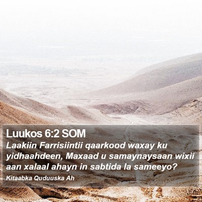 Luukos 6:2 SOM Bible Verse Image