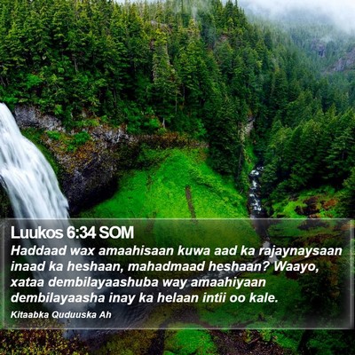 Luukos 6:34 SOM Bible Verse Image