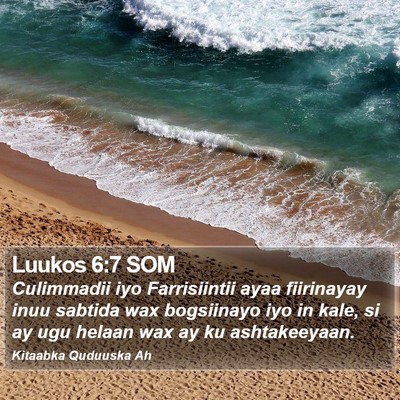 Luukos 6:7 SOM Bible Verse Image