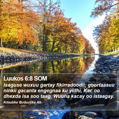 Luukos 6:8 SOM Bible Verse Image