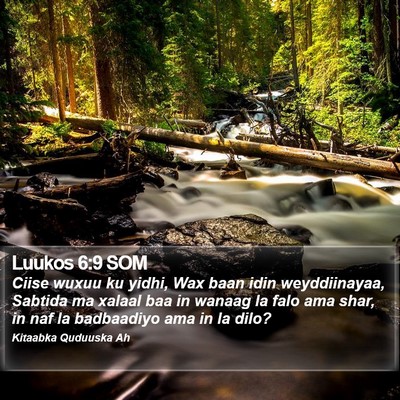 Luukos 6:9 SOM Bible Verse Image