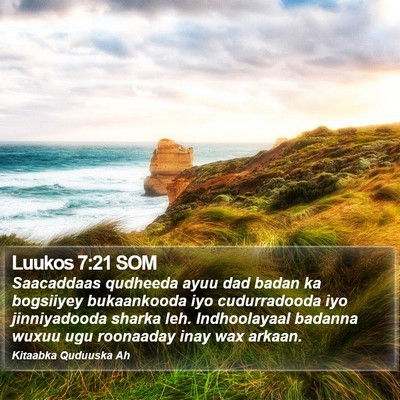 Luukos 7:21 SOM Bible Verse Image