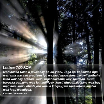 Luukos 7:22 SOM Bible Verse Image