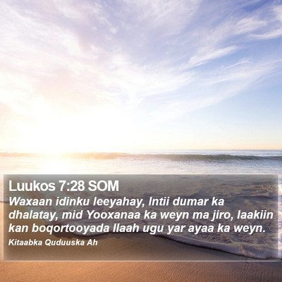 Luukos 7:28 SOM Bible Verse Image