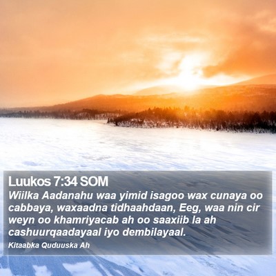 Luukos 7:34 SOM Bible Verse Image