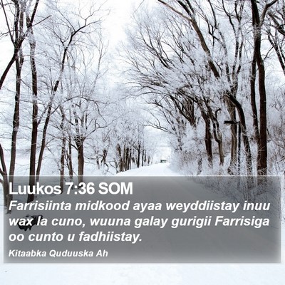 Luukos 7:36 SOM Bible Verse Image
