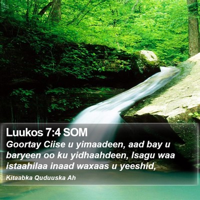 Luukos 7:4 SOM Bible Verse Image