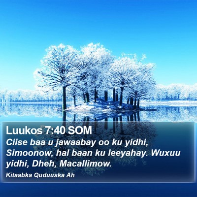 Luukos 7:40 SOM Bible Verse Image