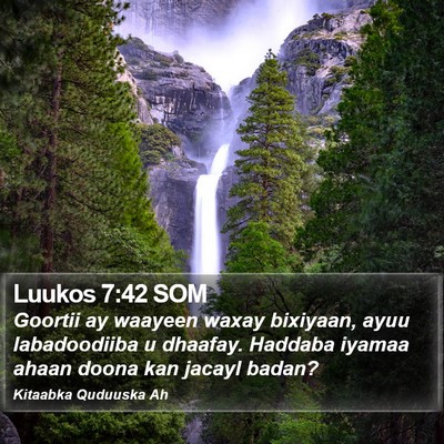 Luukos 7:42 SOM Bible Verse Image