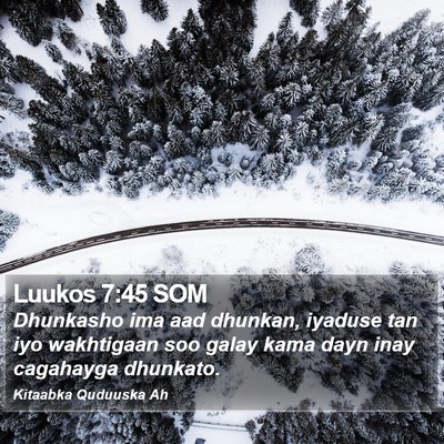 Luukos 7:45 SOM Bible Verse Image