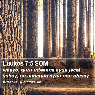 Luukos 7:5 SOM Bible Verse Image