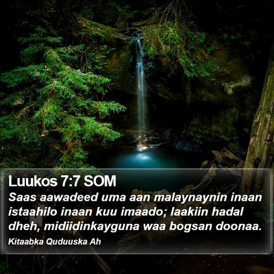 Luukos 7:7 SOM Bible Verse Image