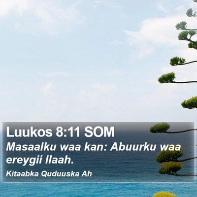 Luukos 8:11 SOM Bible Verse Image