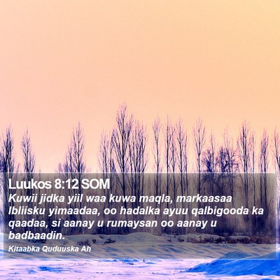 Luukos 8:12 SOM Bible Verse Image