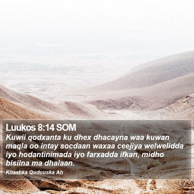 Luukos 8:14 SOM Bible Verse Image