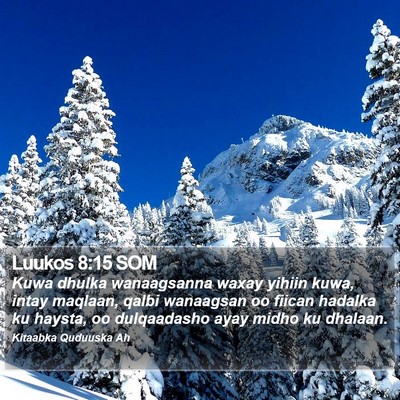 Luukos 8:15 SOM Bible Verse Image