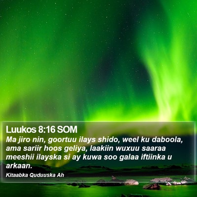 Luukos 8:16 SOM Bible Verse Image