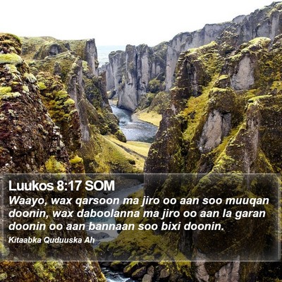 Luukos 8:17 SOM Bible Verse Image