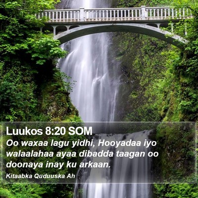 Luukos 8:20 SOM Bible Verse Image