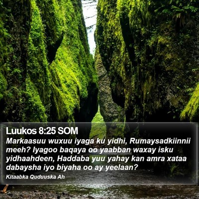 Luukos 8:25 SOM Bible Verse Image