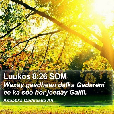 Luukos 8:26 SOM Bible Verse Image