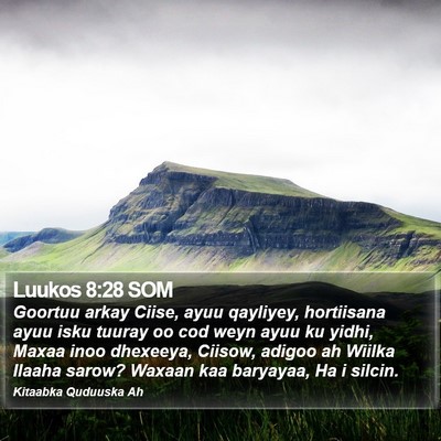 Luukos 8:28 SOM Bible Verse Image