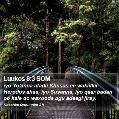 Luukos 8:3 SOM Bible Verse Image