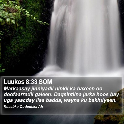 Luukos 8:33 SOM Bible Verse Image