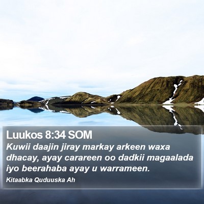 Luukos 8:34 SOM Bible Verse Image