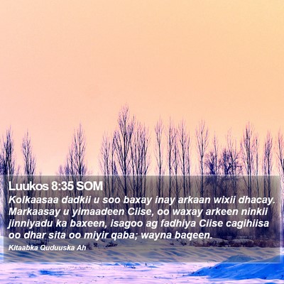 Luukos 8:35 SOM Bible Verse Image