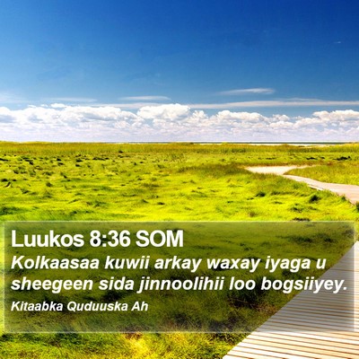 Luukos 8:36 SOM Bible Verse Image