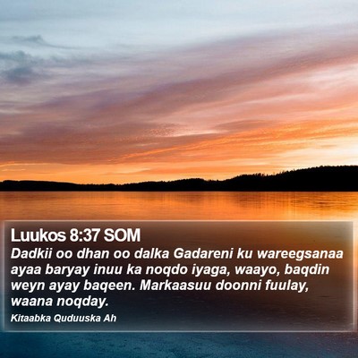 Luukos 8:37 SOM Bible Verse Image