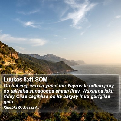 Luukos 8:41 SOM Bible Verse Image