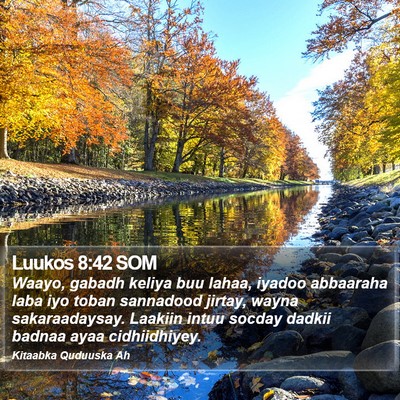 Luukos 8:42 SOM Bible Verse Image