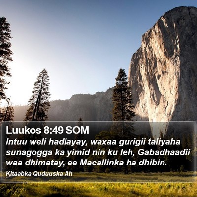 Luukos 8:49 SOM Bible Verse Image