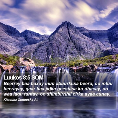 Luukos 8:5 SOM Bible Verse Image