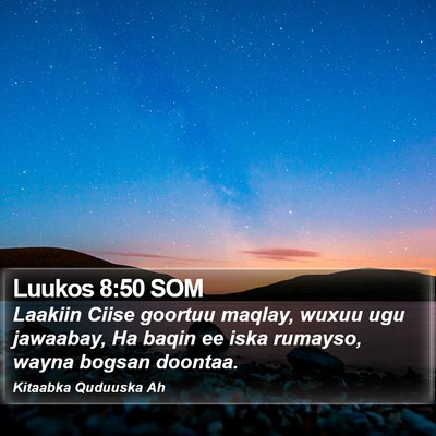 Luukos 8:50 SOM Bible Verse Image